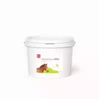 Pha Basis Mineral Plus Liquid Für Pferde