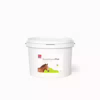 Pha Basis Mineralplus für Pferde 5000 g