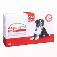Pha Dogenzyme Gelenk 100 St Filmtabletten Magensaftresistent