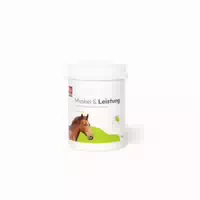 Pha Muskel & Leistung für Pferde 850 g
