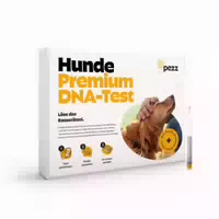 Pezz | Hunde Dna Gentest Bestimme Die Rasse, Mdr1 Anaylse Und Erbkrankheiten