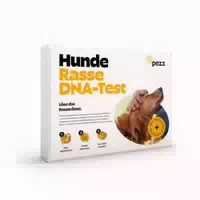 Pezz | Hunde Rassebestimmung Dna Test Rasseanalyse Auf Den Prozent Genau
