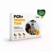 Pezz | Hunde Wurmtest Pcr | Teste Die 11 Wichtigsten Wurm & Parasitenarten