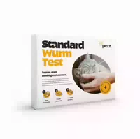 Pezz | Katzen Wurmtest Testen Statt Unnötig Entwurmen