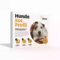 Pezz | Kotprofil Für Hunde 3in1 Ganzheitliche Kotuntersuchung