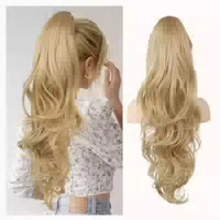 Pferdeschwanzverlängerung Clipin Klauen 66 cm Goldblond mit 1 st
