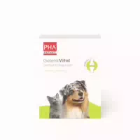 Pha Gelenk Vital Für Hunde Und Katzen