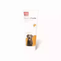 Petvet Pha Gastropaste für Hunde