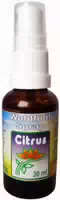 Wohlfühlspray Aroma Citrus 30ml