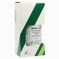 Sinus Cyl Ho Len Complex Tropfen 100 ml