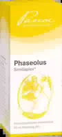 Dulcamara Similiaplex Tropfen 50 ml Tropfen