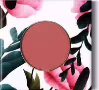 Phb Ethical Beauty Eyeshadow Morocco