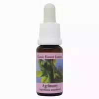 Phi Essences Agrimony Bachblüte Nr 1
