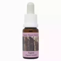 Phi Essences Aspen Bachblüte Nr 2 1 st