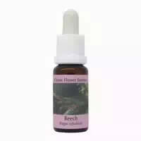 Phi Essences Beech Bachblüte Nr 3