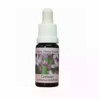 Phi Essences Centaury Bachblüte Nr 4