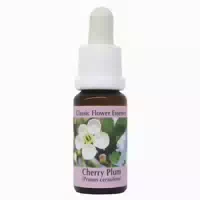 Phi Essences Cherry Plum Bachblüte Nr 6