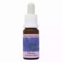 Phi Essences Chicory Bachblüte Nr 8