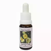Phi Essences Frühlingsgold Rosen Essenz