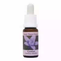 Phi Essences Gentian Bachblüte Nr 12