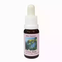 Phi Essences Grüne Rose Essenz