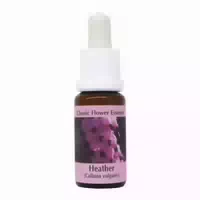 Phi Essences Heather Bachblüte Nr 14