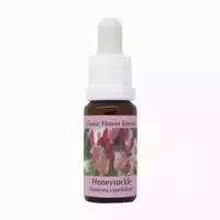 Phi Essences Impatiens Bachblüte Nr 18