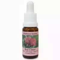 Phi Essences Iris Wildblüten Essenz