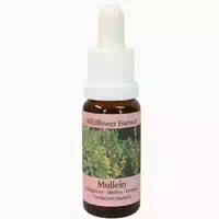 Phi Essences Königskerze Wildblüten Essenz