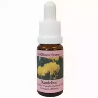 Phi Essences Löwenzahn Wildblüten Essenz