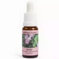 Phi Essences Veilchen Wildblüten Essenz