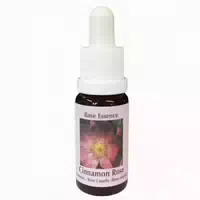 Phi Essences Zimtrosen Essenz