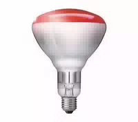 Philips Infrarot Lp 230v 250w 1ct 10 Ir 250 Rh R125
