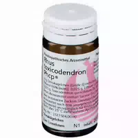 Rhus Toxicodendron Phcp Globuli 20 G Globuli