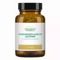 Phosphatidylcholin Lecithin Phospholipide Kapseln