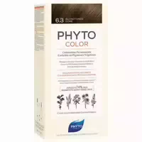 Phytocolor 6 3 Dunkelgoldblond Blond