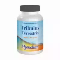 Tribulus Terrestris 1200 Mg Kapseln