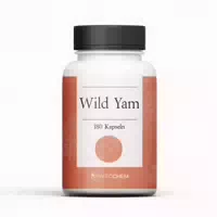 Wild Yam Extrakt Kapseln 100 st