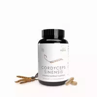 Pilze Wohlrab Bio Cordyceps Sinensis Pulverkapseln