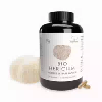 Hericium Extraktkapseln Bio