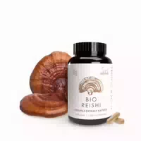 Reishi Extraktkapseln Bio