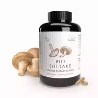 Shiitake Extraktkapseln Bio