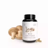Shiitake Extraktkapseln Bio