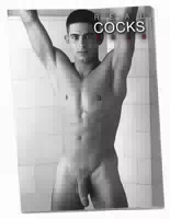Pin Up Kalender „real Cocks“ 2026