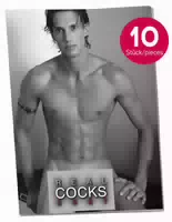 Pin Up Kalender „real Cocks 2027“ im 10er Pack