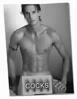Pin Up Kalender „real Cocks 2027“ im Großformat