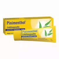 Pinimenthol Erkältungssalbe Eucalyptusöl Kiefernnadelöl Menthol