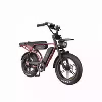 Pixar M9 Vollgefedertes E Bike mit 48v 35ah Doppelakku