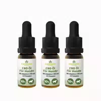 10 ml