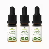10 ml